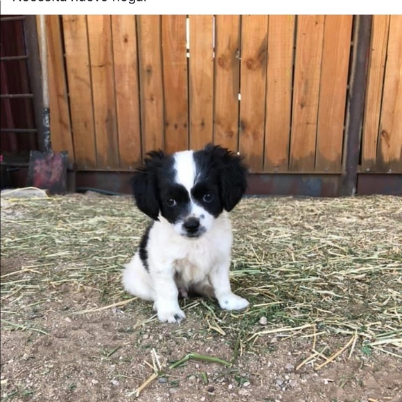 Meet your Posher, Victoria - Picture 1 of 1